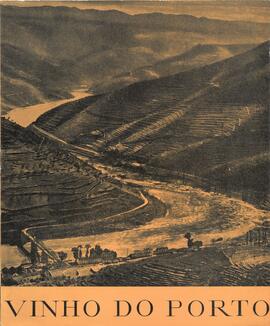 ivp 24